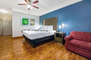 King Room with Roll-In Shower - Mobility Access/Non-Smoking